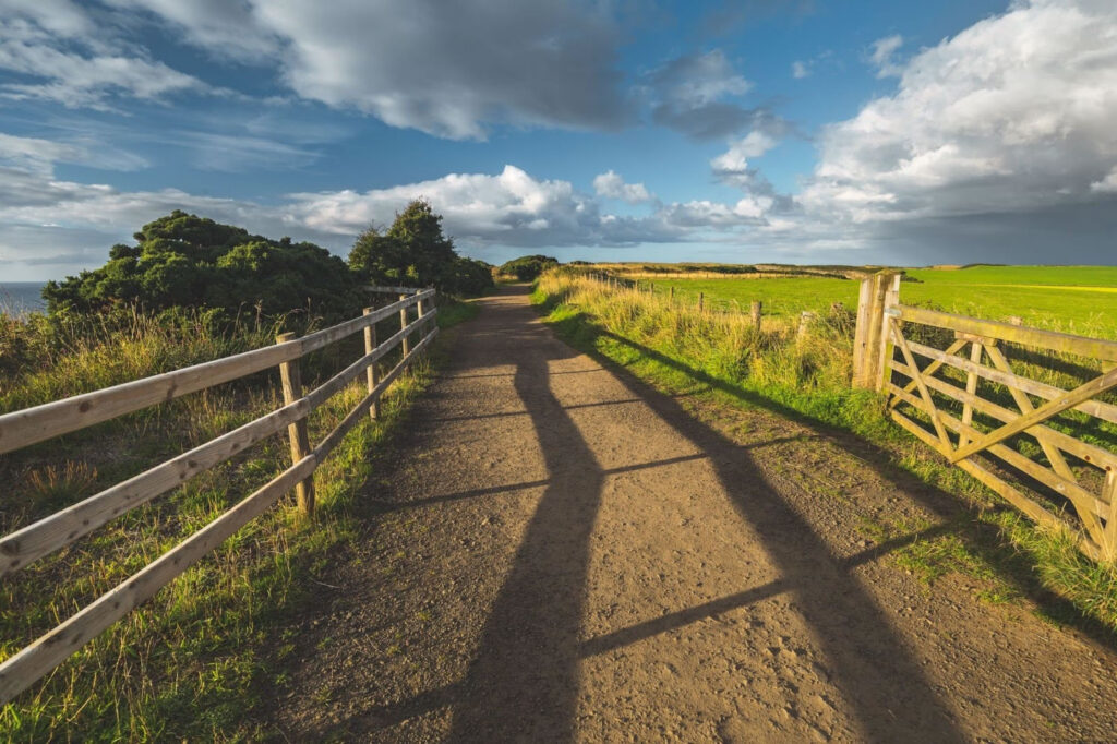 What Is a Boundary Survey